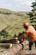 Бензопила Husqvarna 61 (9670623-18) - изображение 4
