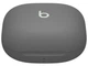TWS-наушники Beats by Dr. Dre Fit Pro Sage Grey (MK2J3) - изображение 2