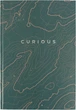 Книга канцелярська Axent Earth colors Curious А4 96 аркушів клітинка (8422-577-A) - зображення 1