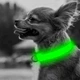 Светодиодный Lesko Green XL LED ошейник USB светящийся для собак и котов - изображение 4