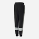 Дитячі теплі спортивні штани на флісі для хлопчика Puma Ess+ Colorblock Pants Fl Cl B 849083-01 104 см Чорні (4064535821499) - зображення 6