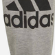 Дитячі спортивні штани для хлопчика Adidas B Bl Ft C Pt GN4016 116 см Сірі (4064036023057) - зображення 4