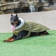 Зимове пальто з коміром Derby Army Green, XL Зелений - зображення 2
