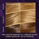 Стойкая краска для волос Wella Color Perfect 7 8/0 Светло-русый 120 мл (4064666598376) - изображение 4