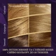 Стойкая краска для волос Wella Color Perfect 7 8/1 Пепельный блонд 120 мл (4064666598383) - изображение 4