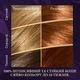 Стойкая краска для волос Wella Color Perfect 7 6/74 Янтарный темно-русый 120 мл (4064666598345) - изображение 4