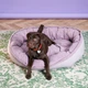 Овальный лежак Harley and Cho Donut Soft Touch Pink L (100х70х21) (3102866) - изображение 3