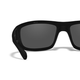 Окуляри Wiley X Omega Smoke Grey Matte Black Frame - зображення 4