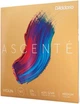 Струни для скрипки D'Addario Ascenté Violin String Set 3/4 Scale Medium Tension - зображення 2