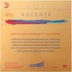 Струны для скрипки D'Addario Ascenté Violin String Set 1/2 Scale Medium Tension - изображение 3