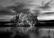 Флизелиновые 3D фото обои диких животных 254x184 см Голубоглазый ягуар (12365V4)+клей - изображение 2
