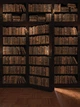 Флизелиновые коричневые фотообои книжный шкаф 206x275 см Библиотека полная книг (3690VEA)+клей - изображение 2