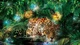 Флизелиновые фотообои фото 3D Животные Кошки Природа 254x184 см Ягуар в джунглях (1333V4)+клей - изображение 1
