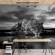 Флизелиновые 3д фотообои с котами 368x254 см Черно-белый леопард ягуар (218V8)+клей - изображение 10