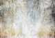 Флизелиновые фотообои 254x184 см Силуэты веток на бетонной стене (14563V4)+клей - изображение 2