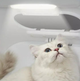 Inteligentna suszarka dla zwierząt PetKit Airsalon Max (6975069301389) - obraz 3
