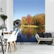 Флизелиновые 3D фотообои природа 184x254 см Осенний лес за озером (12113V4A)+клей - изображение 6