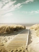 Флізелінові фотошпалери 3D море 184x254 см пляж (11593V4A)+клей - зображення 2