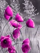 Флизелиновые фото обои природа 206x275 см Маки (11764VEA)+клей - изображение 2