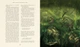 Harry Potter and the Goblet of Fire Illustrated Edition - зображення 8