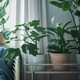 Горшок цветочный с поддоном ИКЕА МУСКОТБЛОММА внутренности, 15 см 304.548.91 - изображение 9