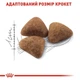 Корм сухий Royal Canin INDOOR для дорослих домашніх котів 400г (3182550704618) - изображение 2