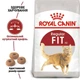 Сухий корм Royal Canin FIT для дорослих кішок 400 г (3182550702157) (2520004) - зображення 2