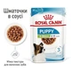 Влажный корм для щенков Royal Canin Xsmall Puppy 85 г (9003579020302) - изображение 2