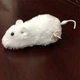 Игрушка заводная плюшевая мышка для котиков, котят 16см - изображение 3