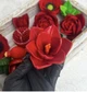 Силіконовий молд Амариліс 1 - изображение 2