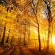 Аромат для свечи и мыла Осеннее сияние (CandleScience Autumn Glow) - изображение 2