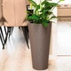 Горшок Rattana Slim - 30 бежевый Form-Plastic - изображение 5