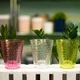 Кашпо для орхидей Diamant-mini Orchidea 1,12 л прозрачный Form-Plastic - изображение 4
