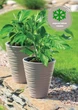 Горщик FormPlastic Sahara-35 бежевий Form-Plastic - зображення 2