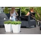 Горшок для цветов Rattana kwadro-40 белый Form-Plastic - изображение 3