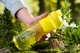 ARDESTO Пляшка для води Smart bottle 1000 мл, зелена, тритан - изображение 2