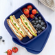 Ланч-бокс Школьник синий 550 мл Tupperware - изображение 1