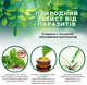Cпрей Vet's Best Mosquito Repellent от насекомых для собак и кошек 235 мл (vb10475) - изображение 2