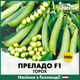 Голландские семена Syngenta Горох Преладо F1 100 г - изображение 2