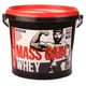 Гейнер Megabol Whey Mass Gain (20 % protein ) 3000g (Vanilla) - зображення 1