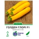 Голландские семена Syngenta Кабачок Голден Глори F1 5 шт - изображение 1