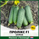Голландские семена Nunhems Огурец Проликс F1 10 шт - изображение 1