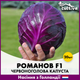 Голландские семена Hazera Красноголовая капуста Романов F1 20 шт - изображение 3