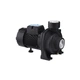 Насос поверхностный поливочный Pumpman TGA1C Нmax 15 м Qmax 30 куб.м 750 Вт - изображение 3