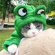 Толстовка для собак та котів "Frog" Size XL - зображення 8