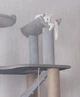 Стильная когтеточка с домиком игровой комплекс для кошек, котов всех пород 190х80х60см серо бежевая - изображение 5
