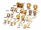 Бижутерные серьги 2048 набор 12 пар золотые гвоздики Fashion Jewelry gold - изображение 3