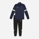Спортивный костюм мужской Puma teamRise Trg 65865306 S Темно-синий/Черный (4099685976362) - изображение 10