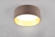 Люстра LED светодиодная потолочная Reality LOCARNO 12W 1160lm 3000K (R64191141) на кухню, для спальни, для гостиной - изображение 2