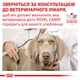 Лечебный корм Royal Canin Recovery 195 г (40550021) - изображение 6